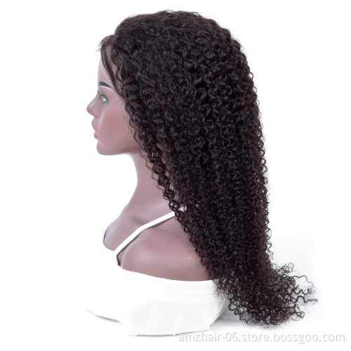 Mink Brazilian Cuticle Aligned  Pre Plucked 13x4 Lace Frontal Wig High Quality Human Hair Swiss Lace Front Wigs for black women